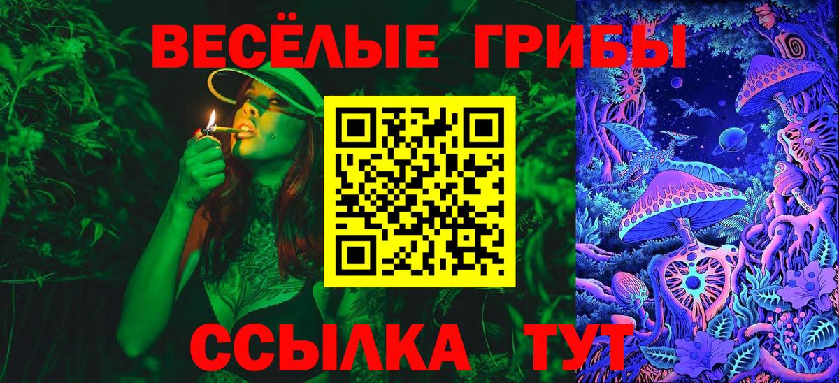 Псилоцибиновые грибы Psilocybe  Вход с VPN  Сланцы  Псилоцибиновые грибы MAGIC MUSHROOMS 